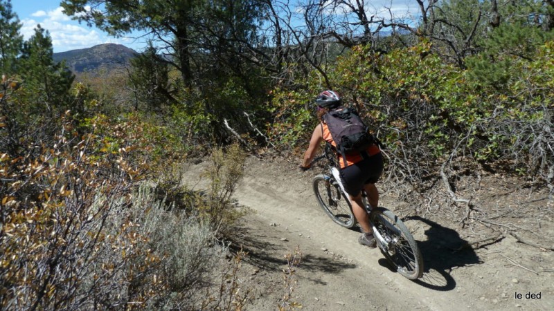 #11 Telegraph trail : Chriss n Telegraph trail : Chriss n'est pas en reste