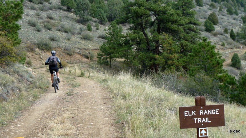 Elk Ranch trail : Début de la balade par une belle piste