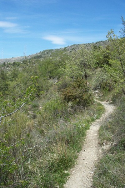 #5 Cime des Cabanelles : Le sentier est raide mais reste roulant très longtemps Cime des Cabanelles : Le sentier est raide mais reste roulant très longtemps