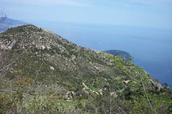 #14 Mont gros : La descente sur son Adret est de toute beauté ! Mont gros : La descente sur son Adret est de toute beauté !