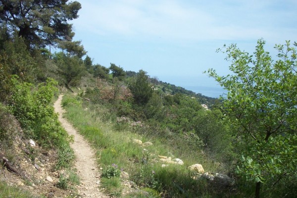 #17 Descente sur Roquebrune : Après une courte remontée, la dernière descente se profile... top joueuse ! Descente sur Roquebrune : Après une courte remontée, la dernière descente se profile... top joueuse !