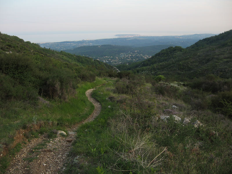 #10 descente sur Tourrettes : Difficile de rester concentré sur le sentier. descente sur Tourrettes : Difficile de rester concentré sur le sentier.