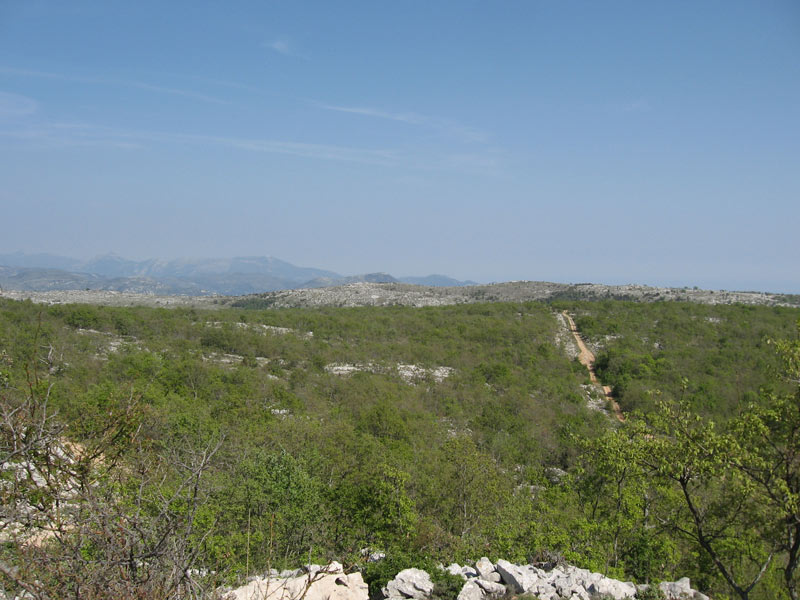 #1 Vue du mouton d Vue du mouton d'Anou : Au fond, le jardin de Phil'ô
