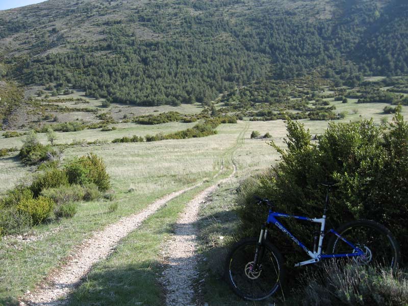 #4 Plan d Plan d'Audenq : Dans cette forêt à l'automne c'est plein de sanguins.