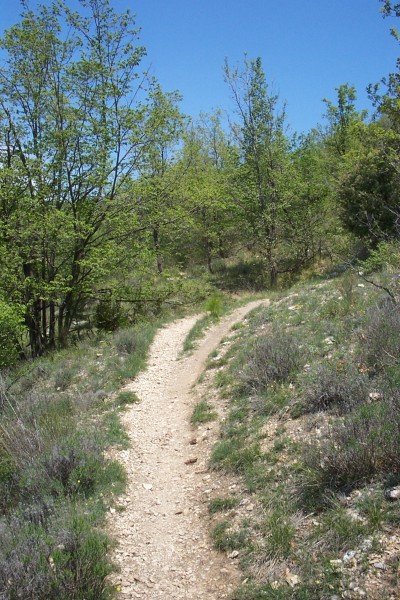 #2 Cabanelles sentier ouest : A la montée c Cabanelles sentier ouest : A la montée c'est raide, mais à la descente c'est presque plat ! Allez comprendre !!!
