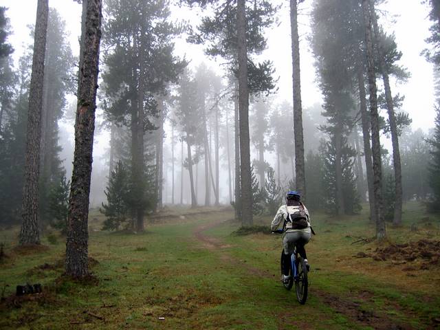 Humide : Il fait gris mais les chemins sont praticables.