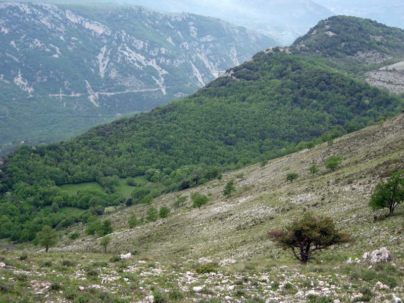 #7 vue du GR51 : La combe montant de Courmes vue du GR51 : La combe montant de Courmes