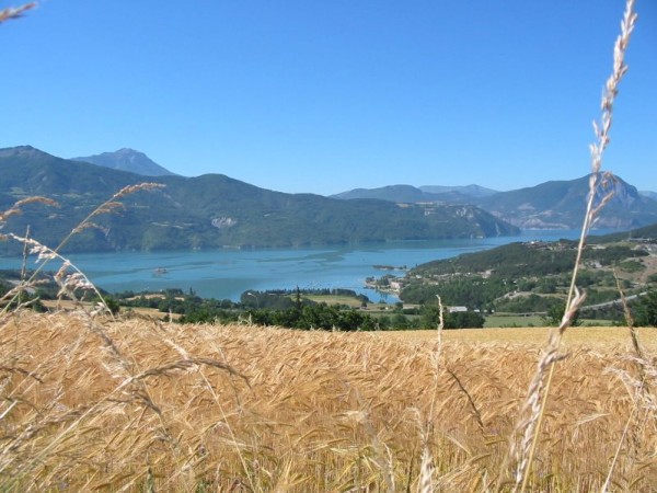 Lac de Serre-Ponçon : Contraste : Djaune paille au bleu turquoise