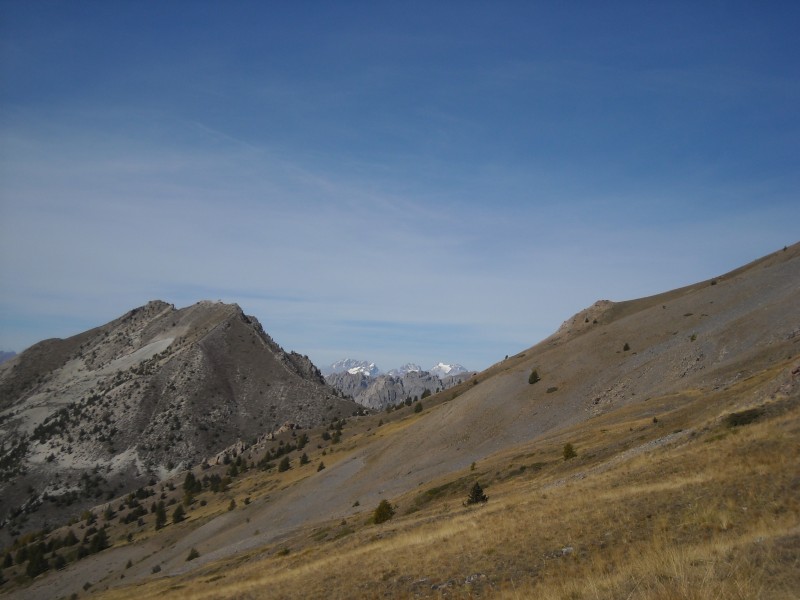 #11 col des Estronques : Les Ecrins par la fenêtre du Col Fromage col des Estronques : Les Ecrins par la fenêtre du Col Fromage