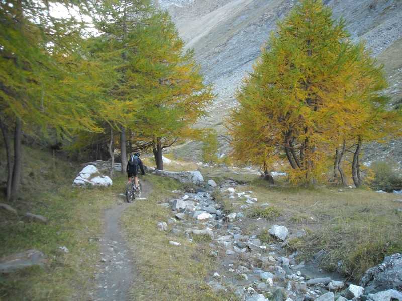 #22 vallon du Longet : ah ! l vallon du Longet : ah ! l'automne