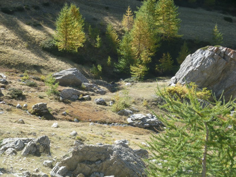 automne : en aval du Lac du Lauzet