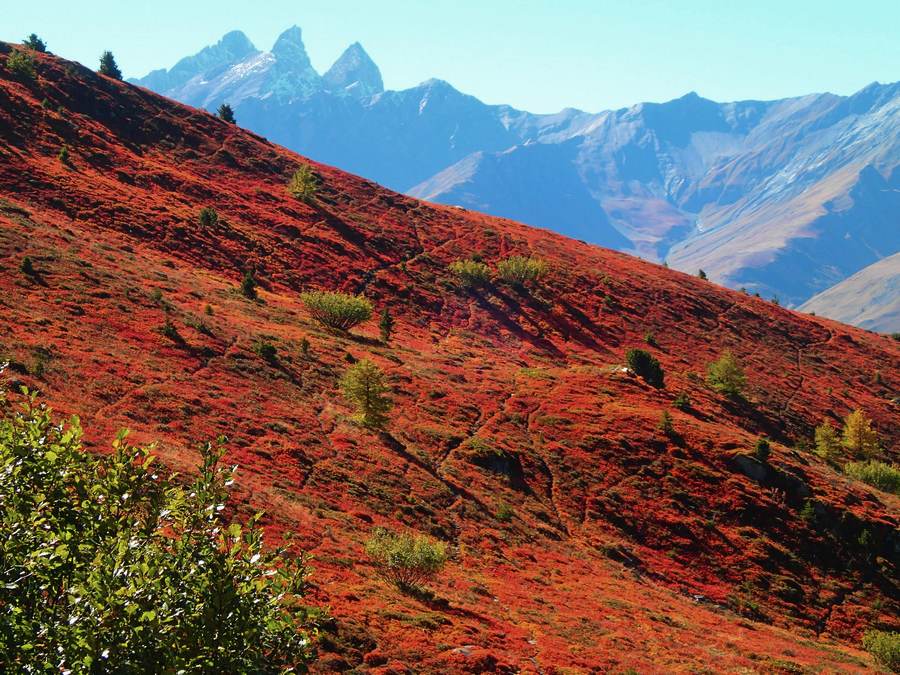 Méraloup : Quoi, t'aime pas le rouge