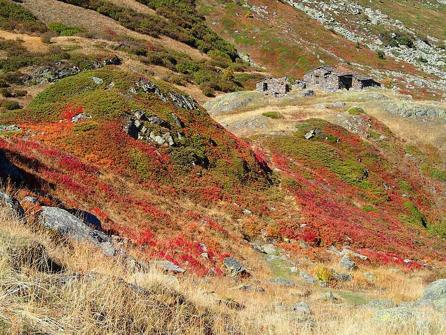 #13 Alpages : Les Arendiers Alpages : Les Arendiers
