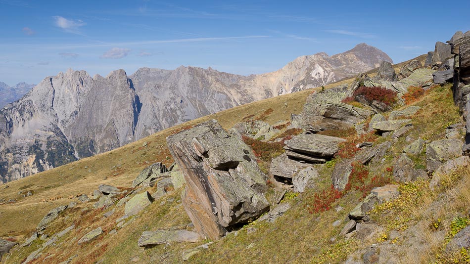 Croix des Têtes : et toute l'arête jusqu'au Grand Perron