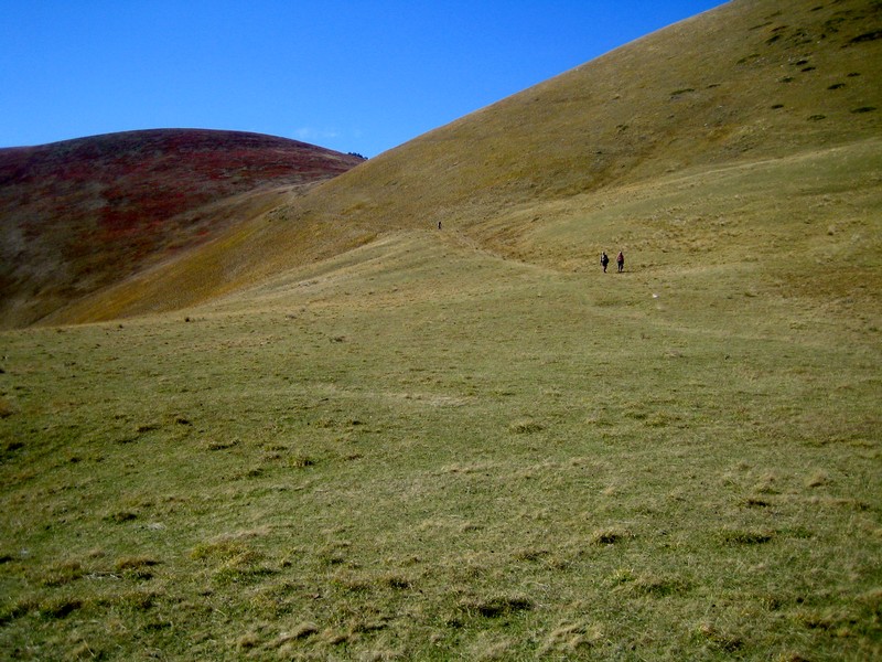 Col de Lière : Manuel dans l’immensité des prairies....