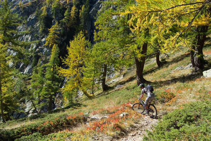 #10 Vers le refuge du Malinvern : les belles couleurs automnales font leur apparition. Vers le refuge du Malinvern : les belles couleurs automnales font leur apparition.