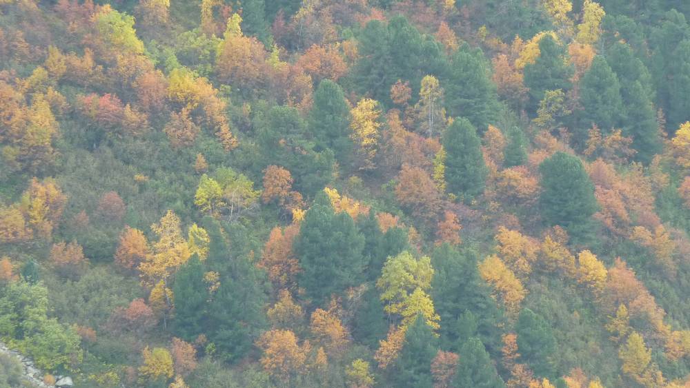 #22 Automne : cette fois, il est là ! Automne : cette fois, il est là !