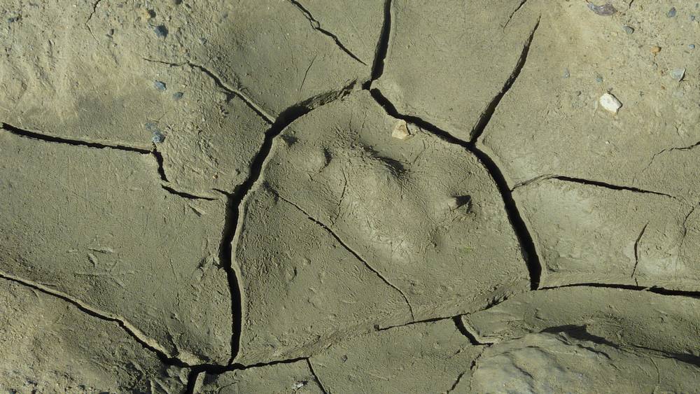 #8 secheresse : le lac du Pêtre se meurt doucement secheresse : le lac du Pêtre se meurt doucement