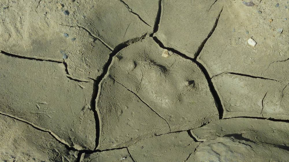 secheresse : le lac du Pêtre se meurt doucement