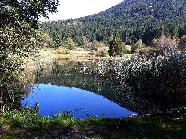 #7 Le Marais : Un paradis pour les pêcheurs! Le Marais : Un paradis pour les pêcheurs!