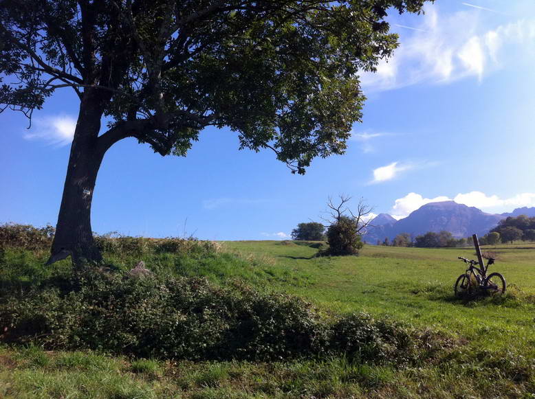 #2 Grand Colon en vue : L Grand Colon en vue : L'arbre à gauche a une particularité étonnante!