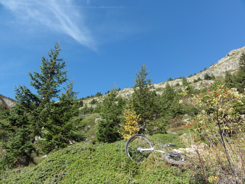 la permiere chute : Seb est tombé dans la champignon