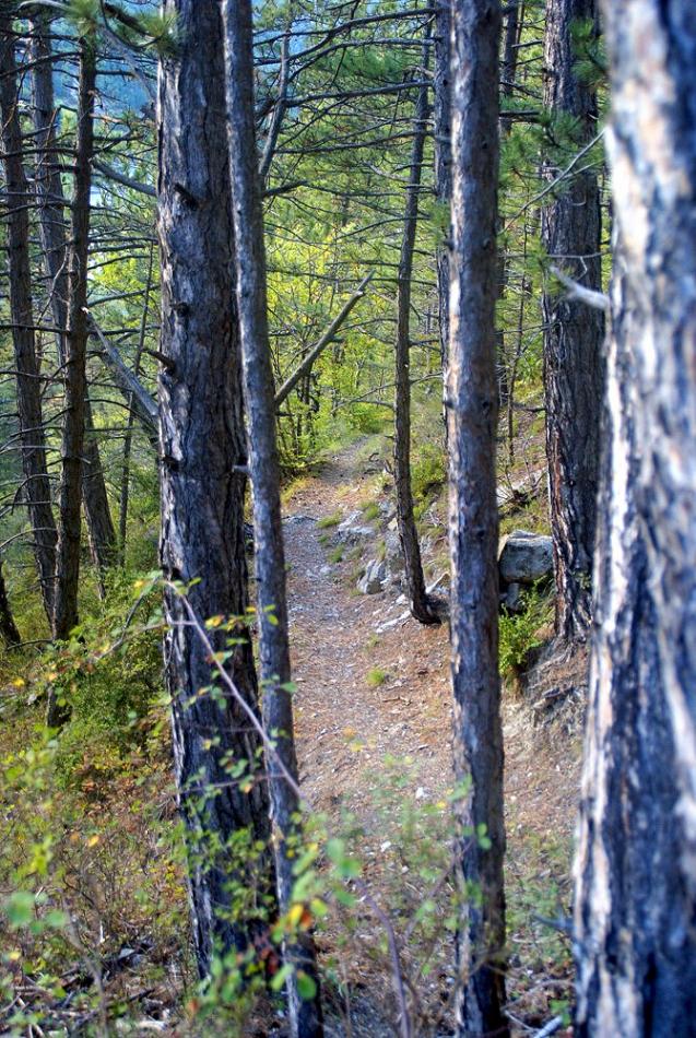 #9 Sublime sentier : qui dure bien Sublime sentier : qui dure bien