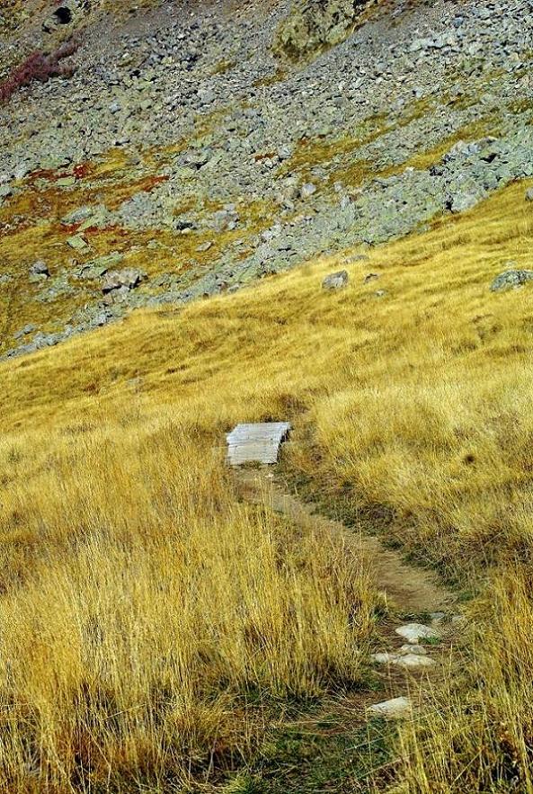 Un bout de piste de DH : ça roule à la montée!