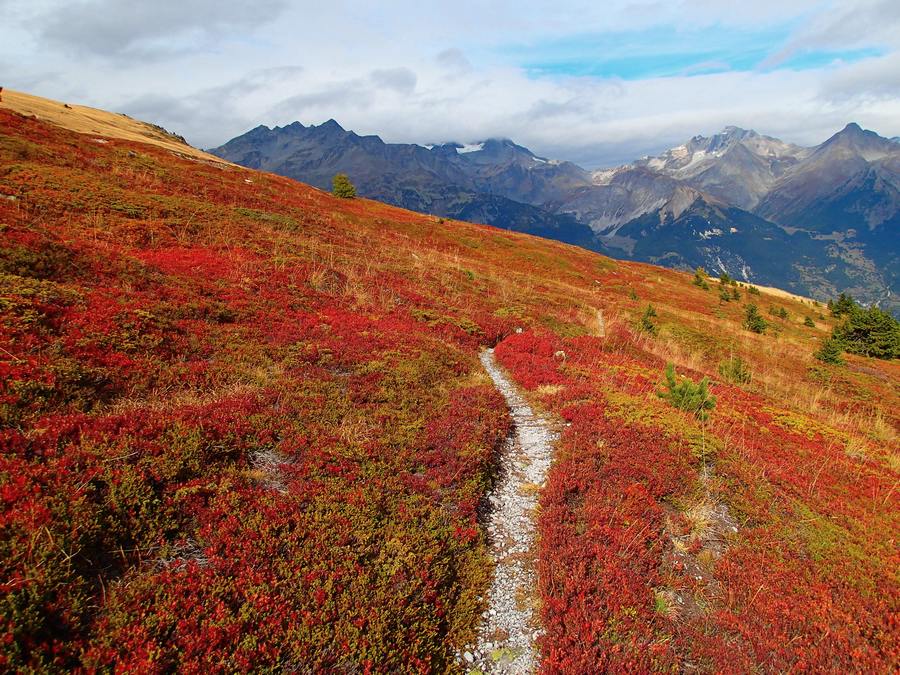 Single d'Arplane : Avec vue sur la Vanoise