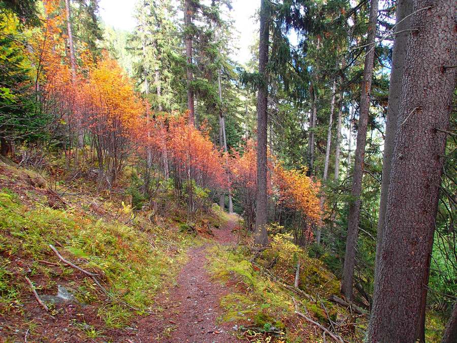 Combe du Geay : un bien bon sentier