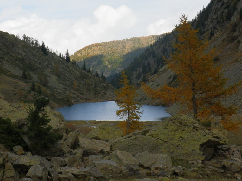 #26 colle longue : Splendide couleurs d colle longue : Splendide couleurs d' automne.