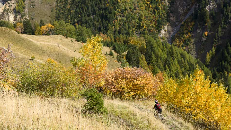 Sous le Plan du Cuir : couleurs d'automne