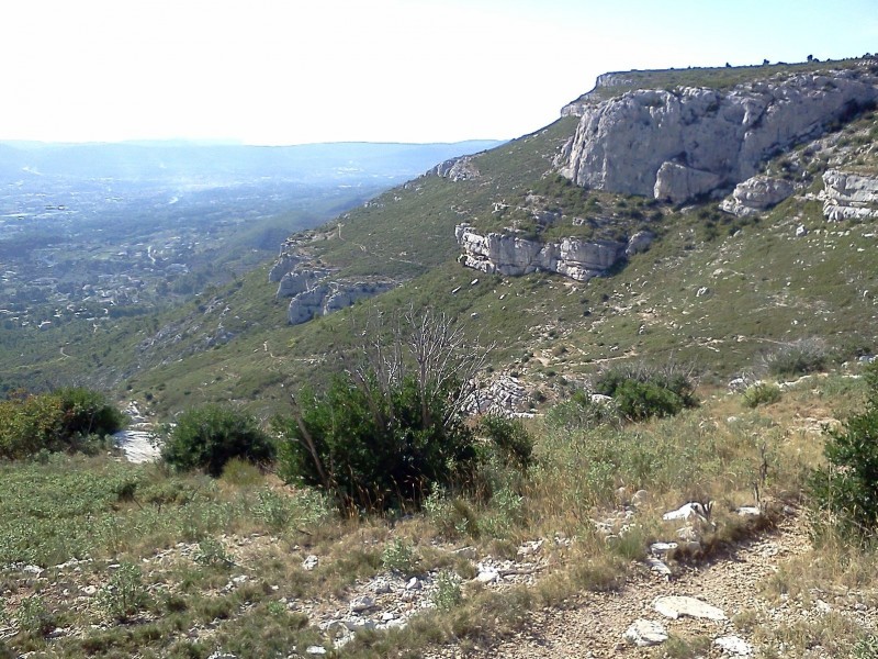 #4 Balcon : Le sentier des Tourdes Balcon : Le sentier des Tourdes