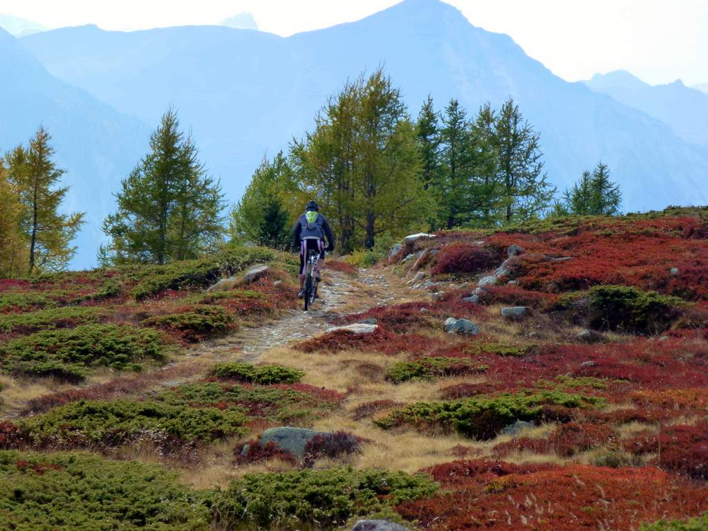 #17 Niwenalp : De belles couleurs Niwenalp : De belles couleurs