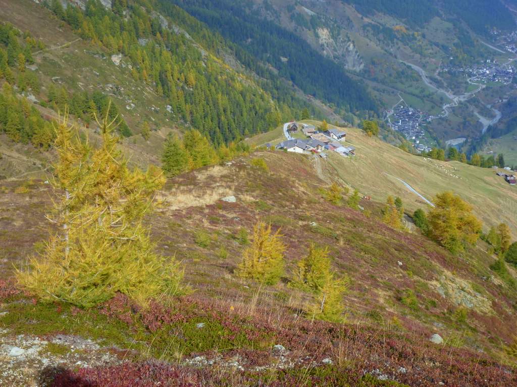 #14 Kummenalp : Joli hameau de Kummenalp Kummenalp : Joli hameau de Kummenalp