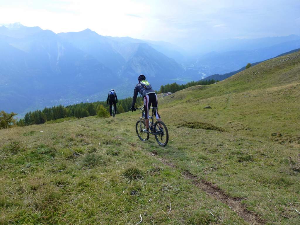#19 Niwenalp : Dans les prés cette fois Niwenalp : Dans les prés cette fois