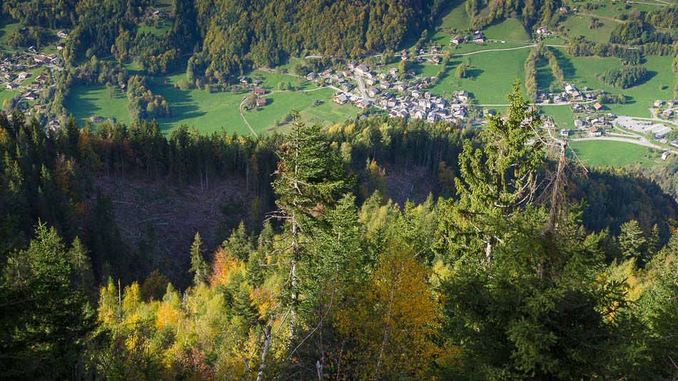 le fond de vallée : grosse exploitation forestière. Pas commode en VTT ou à pied...