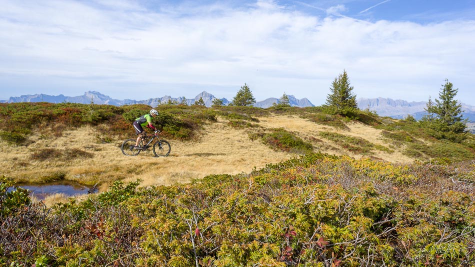 Descente de Roche Plane : belles pelouses