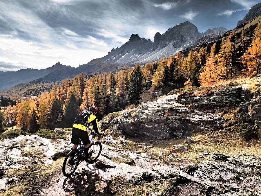 Rochilles : On arrive au sein des forêts de mélèzes