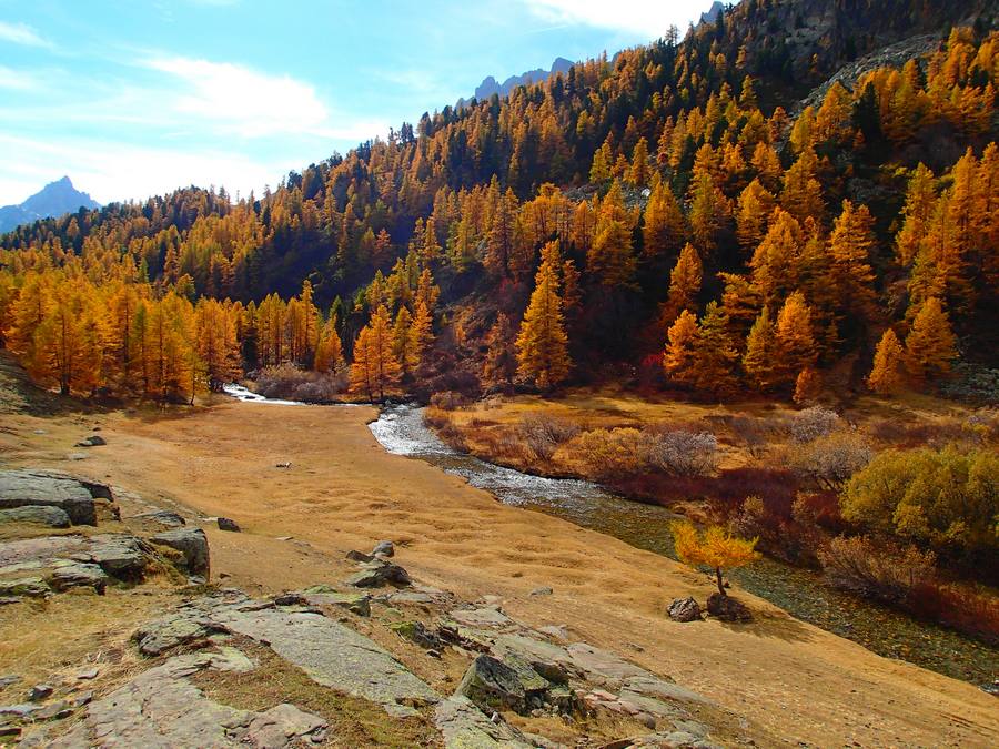 Robert : Et au milieu coule une rivière