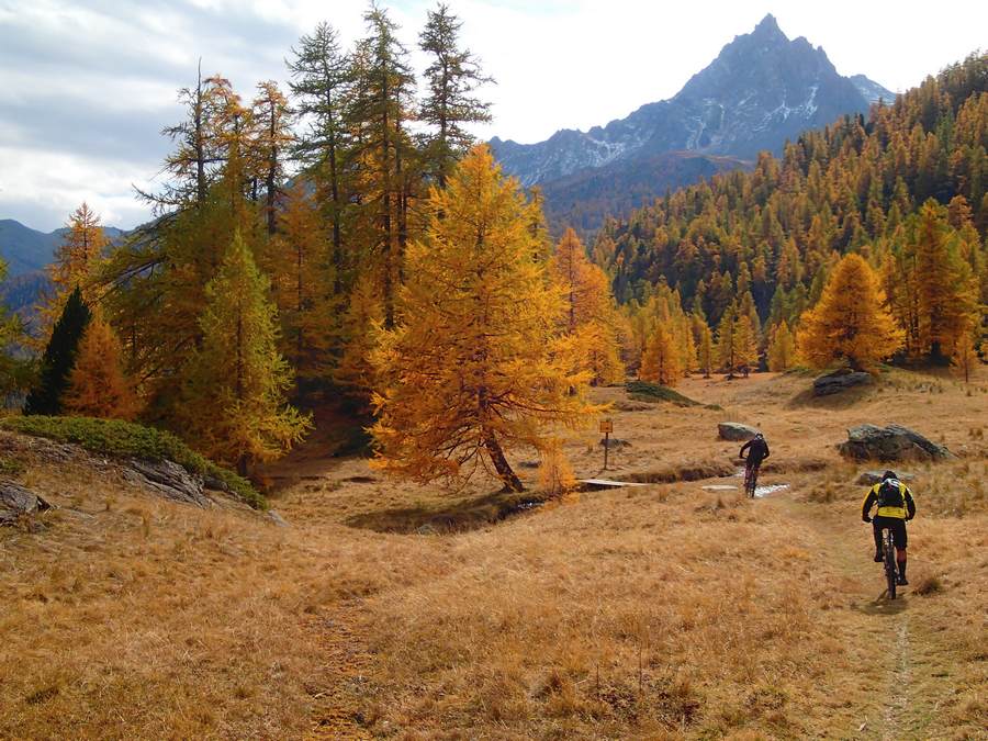 Clarée : Lonngue descente