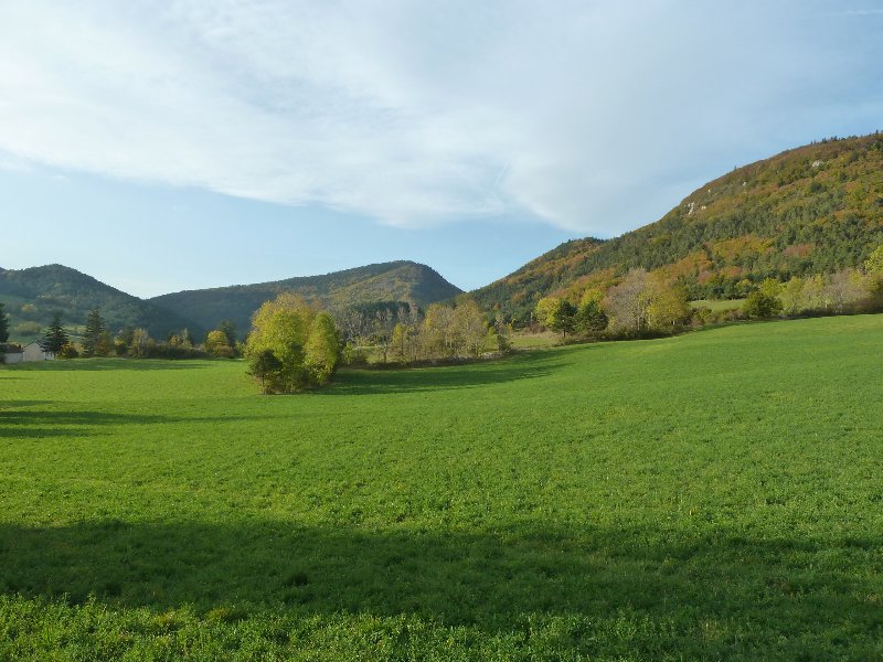 Sous le col de Grimone : chaleur + humidité= herbe bien verte