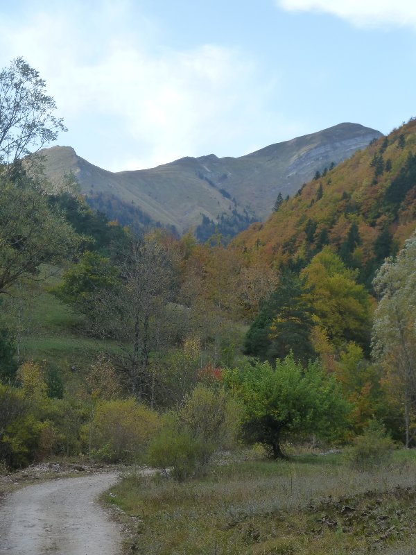 Toussiere : pointe le bout de son nez