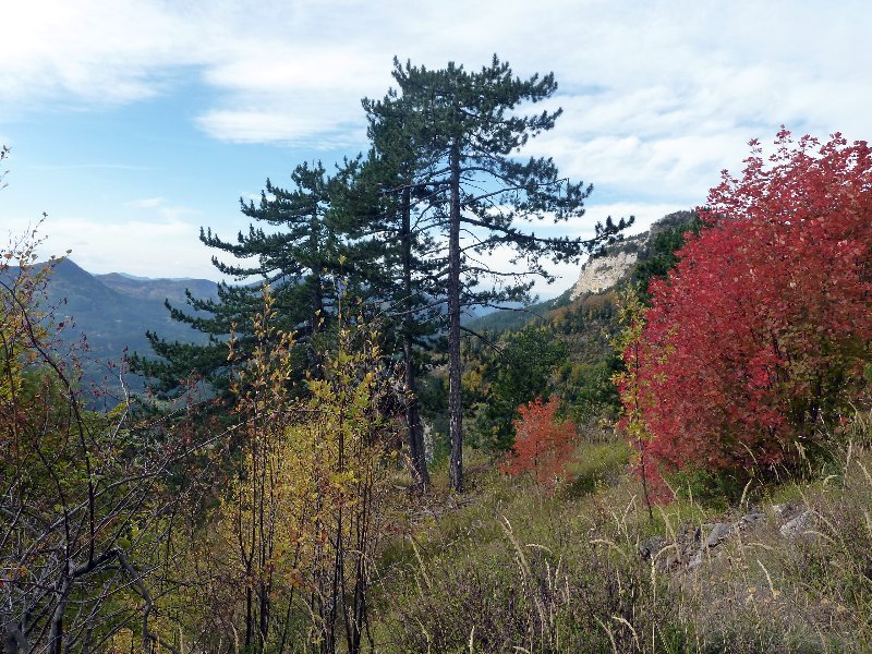 Entre Varaime et Vaunieres : début d'automne