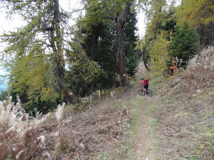 #9 Sous le sommet du Tournairet : Début de la descente. Sous le sommet du Tournairet : Début de la descente.