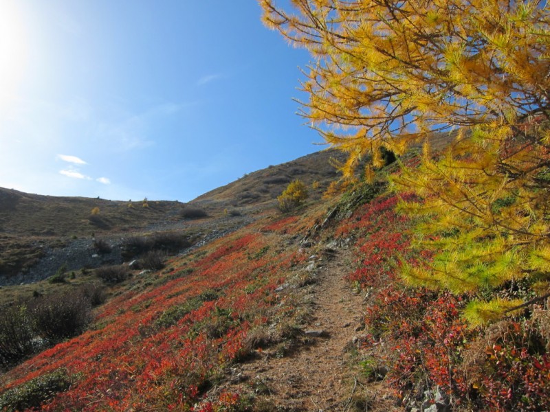 #5 Paroi du Midi : du rouge, du jaune et du bleu! Paroi du Midi : du rouge, du jaune et du bleu!
