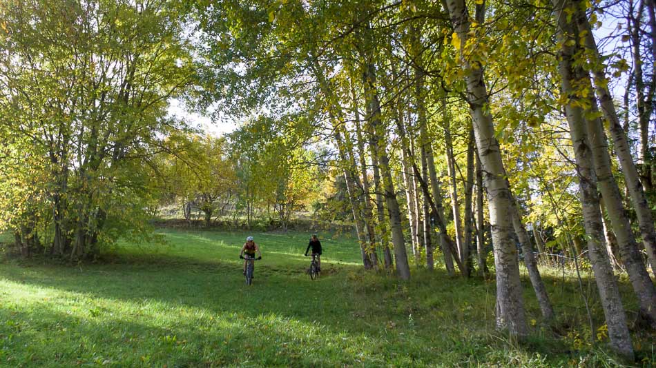 Arrivée champêtre : sur BSM