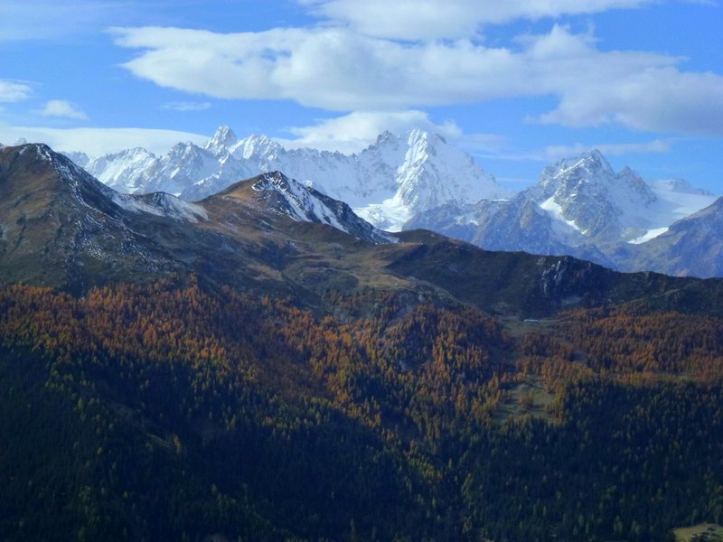 Aig. d'Argentière : Vue sur le massif du Mt Blanc