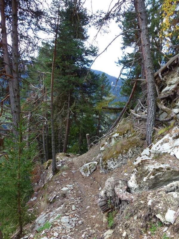 #4 Descente des Charrières : Descente sympa dans les pins Descente des Charrières : Descente sympa dans les pins