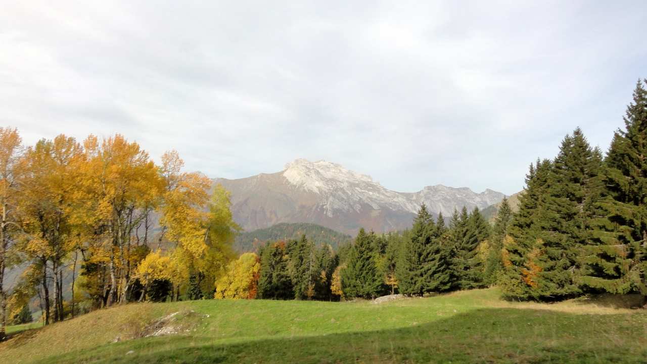 Tournette : depuis le Mont, bucolique